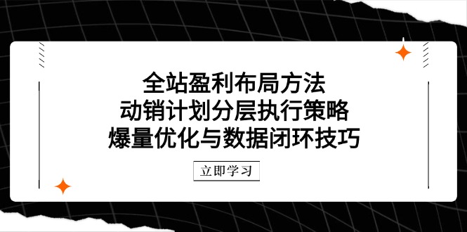 全站盈利布局方法：动销计划分层执行策略，爆量优化与数据闭环技巧-小哥网