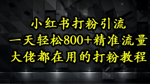 小红书打粉引流，一天轻松500+精准流量，大佬都在用的打粉教程-小哥网