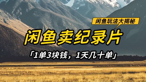 闲鱼卖纪录片1单3块钱，1天几十单，项目稳定有潜力-小哥网