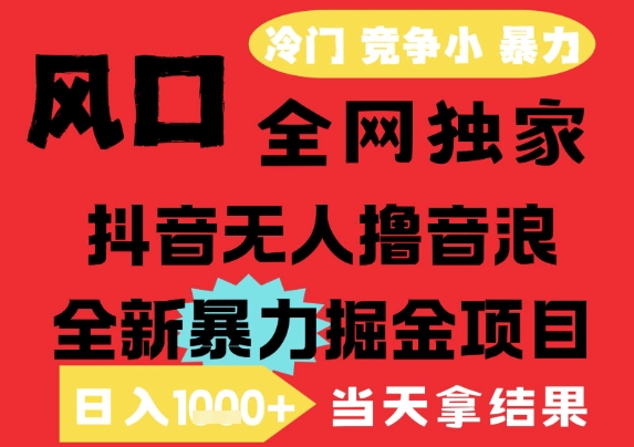 25年6月高爆抖音无人直播最新撸音浪掘金项目，解放双手小白可做，无脑日入1k+，门槛低【揭秘】-小哥网