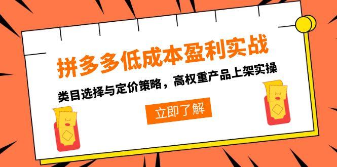 拼多多低成本盈利实战，类目选择与定价策略，高权重产品上架实操-小哥网