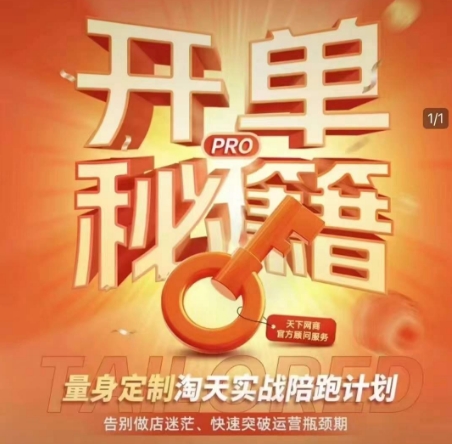 淘宝开单秘籍PRO，量身定制淘天实战陪跑计划，告别做店迷茫、快速突破运营瓶颈期(更新6月)-小哥网