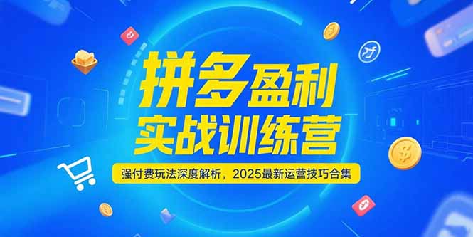 拼多多盈利实战训练营，强付费玩法深度解析，2025运营技巧合集-更新6月-小哥网