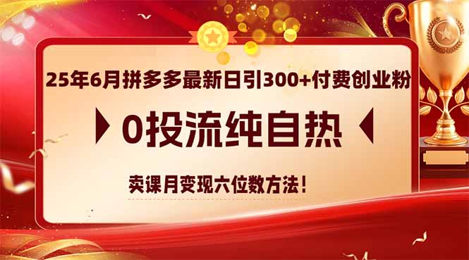 25年6月拼多多最新日引300+付费创业粉，0投流纯自热 卖课月变现六位数方法-小哥网