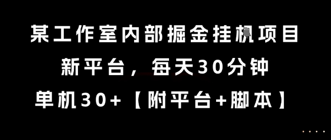 某工作室内部掘金挂G项目，新平台，每天30分钟，单机30+【揭秘】-小哥网