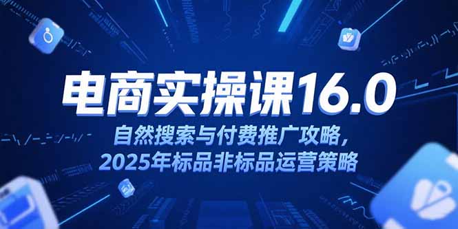 淘宝电商运营课16.0，自然搜索与付费推广攻略，2025年标品非标品运营策略-小哥网