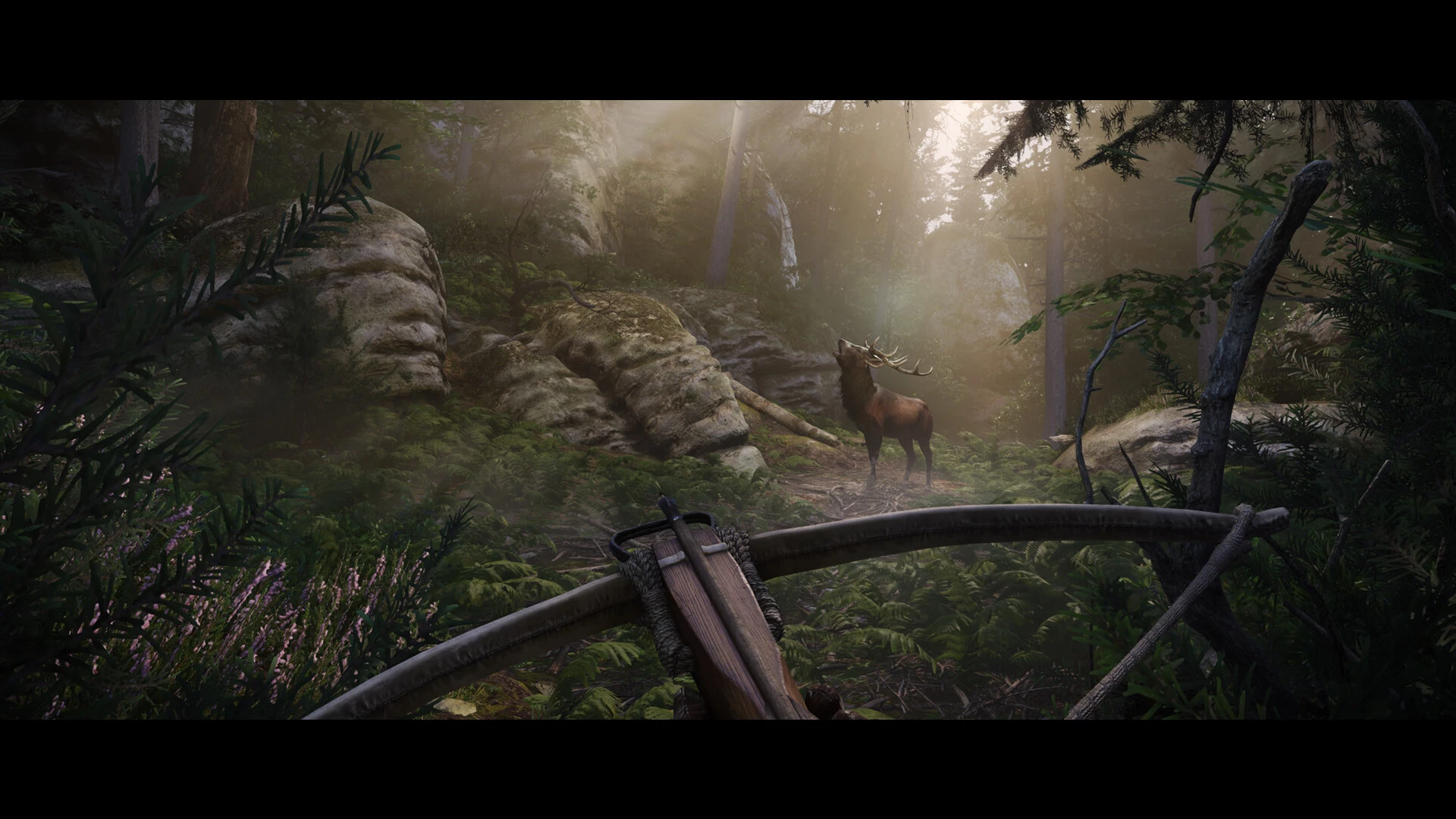 《天国：拯救2》中文版