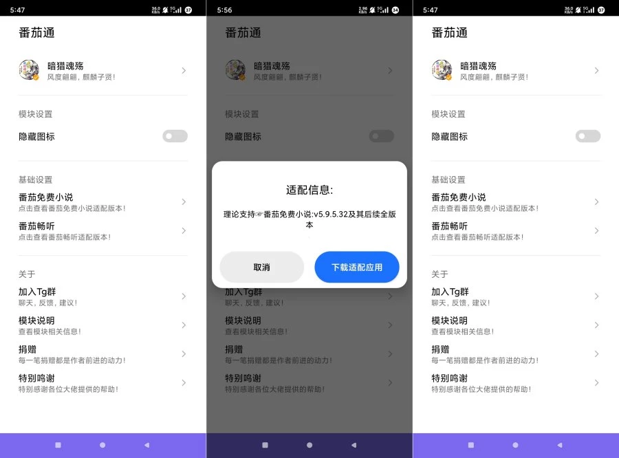 番茄通1.0.8番茄小说番茄畅听VIP解锁模块