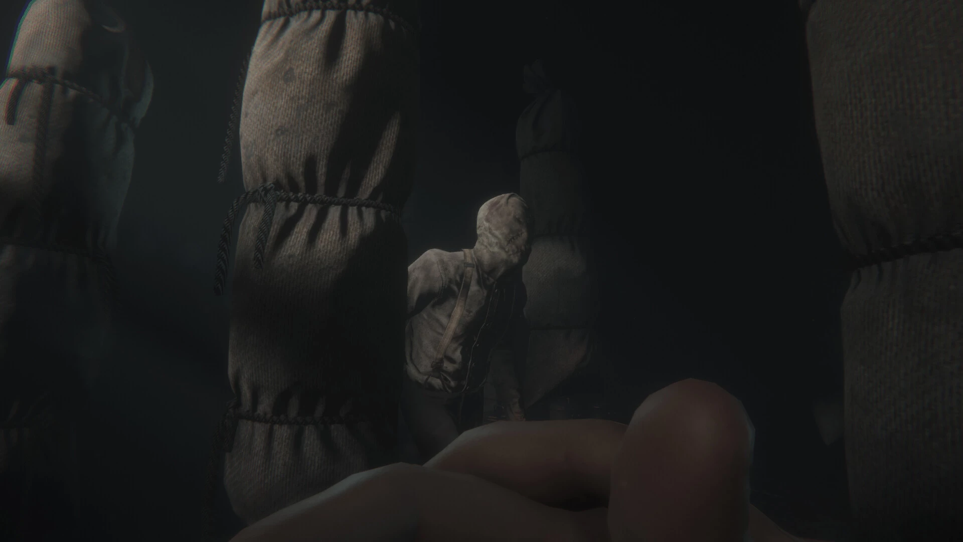 《斯盖尔之女》VR中文版