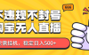 淘宝无人直播最新玩法，不违规不封号，只需挂机，稳定日入500+，新手也能当天开单！