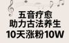 古法五音养生教程，五音疗愈的视频的制作方法，2-4小时就能学会，作者10天涨粉10W