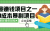 全网首发，暴利项目，每天被动收益1500+，长期管道收益！0成本自己做老板！