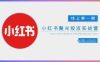 小红书聚光陪跑第一期，教你从0到1玩转小红书聚光投流，搭建小红书付费投流团队，更快的见到效果