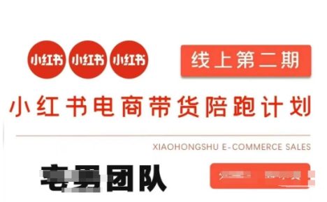 小红书电商带货课2期，月利润20个的小红书电商的有货源，无货源，虚拟产品，付费投流等整套玩法