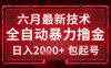 六月最新技术全自动暴力撸金，稳定日入2k+包起号，长期稳定【揭秘】