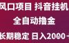 风口项目，六月最新玩法抖音无人挂G，全自动撸金，长期稳定 日入2k+【揭秘】