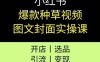 小红书爆款种草视频图文封面实操课，开店、选品、引流、变现全流程