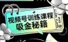 如何做好视频号，视频号训练课程，吸金秘籍