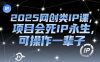 2025网创类IP课，项目会死IP永生，可操作一辈子