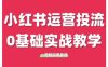 小红书运营投流，小红书广告投放从0到1的实战课，学完即可开始投放(更新)