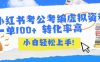 小红书考公考编虚拟资料出售一单100+  转化率高  小白可轻松上手