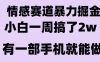 情感暴力掘金项目，新人操作一周挣了2W，长期稳定小白可做【揭秘】