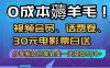 0成本薅羊毛!视频会员、话费卷、30元电影票白送，分享我如何靠转卖一天变现5张+【揭秘】