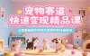 宠物赛道快速变现精品课，从零基础起步高效打造盈利性抖音账号