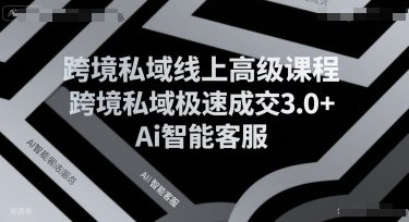 跨境私域线上高级课程,跨境私域极速成交3.0+Ai智能客服