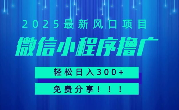 微信小程序撸广，最新风口项目，日入300+ 免费分享 可批量操作 小白可轻松上手！！