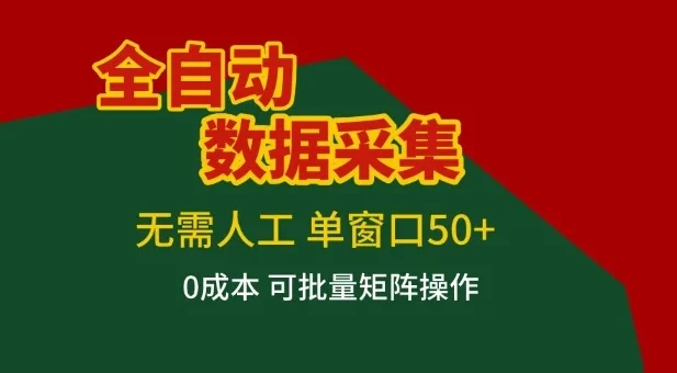 全自动数据采集项目,无需人工,单窗口可达50+收益,操作简单无难度,一个人也能轻松实现矩阵【揭秘】