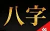 诸葛八字排盘2.4.1精细八字分析专业排盘数据解锁会员