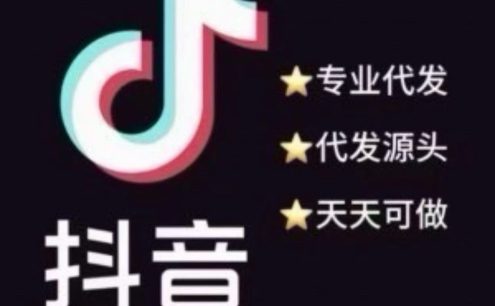 抖音短视频代发，每天可做，日结300+