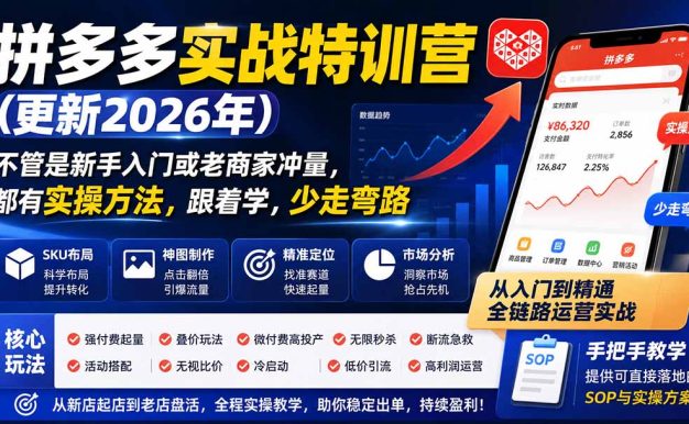 拼多多实战特训营(更新0926
